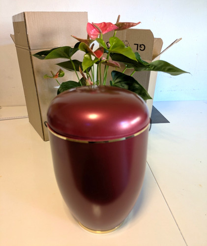Urne edition creatio perlmut - urne,